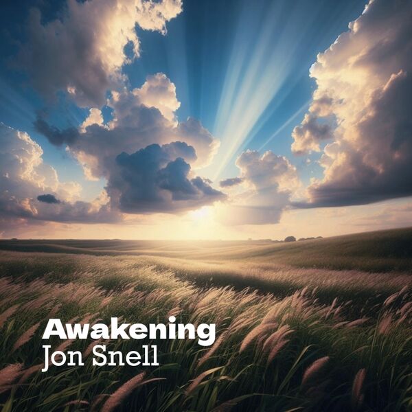 Cover art for Awakening